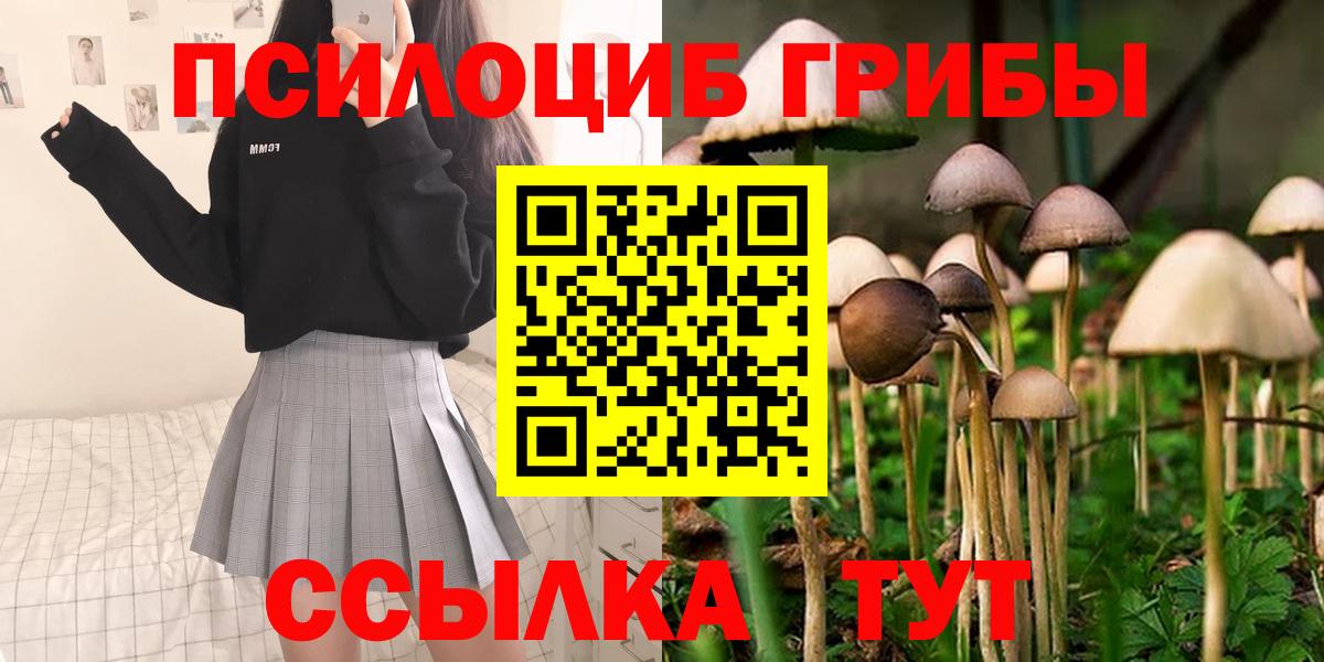 Стрежевой  Галлюциногенные грибы Psilocybine cubensis  Вход с VPN 