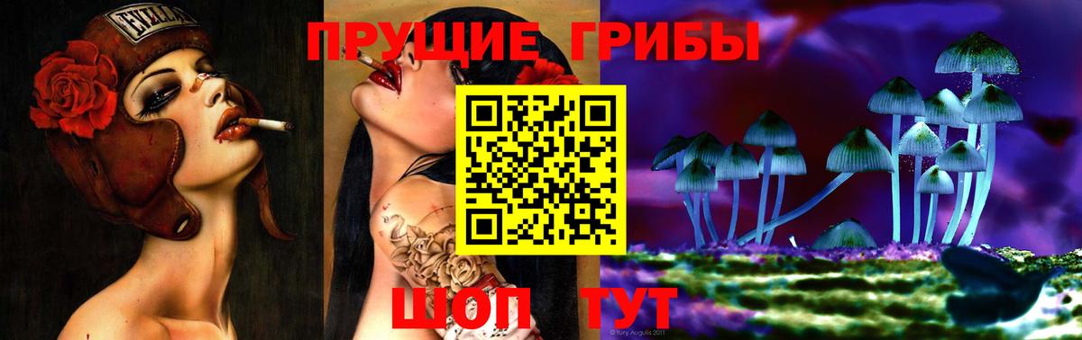 Псилоцибиновые грибы мицелий Стрежевой